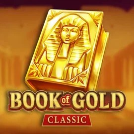 game logo by Playson on spellwincasino.eu