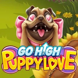 game logo by RubyPlay on spellwincasino.eu